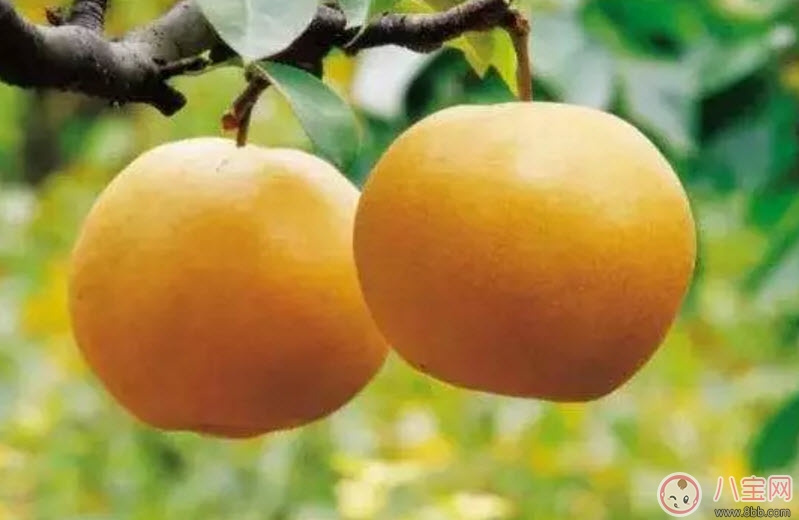 孕婦秋燥怎么調(diào)理吃什么好 孕婦秋燥如何護理皮膚