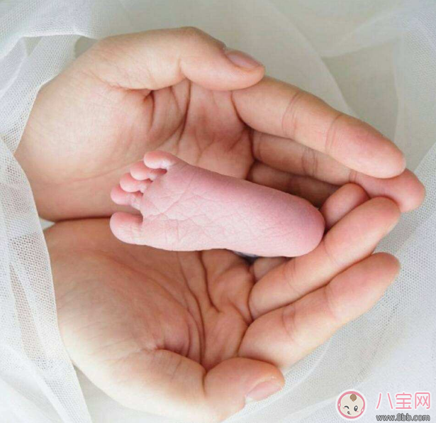 胎兒生命垂危 準(zhǔn)媽媽這么吃才能保胎