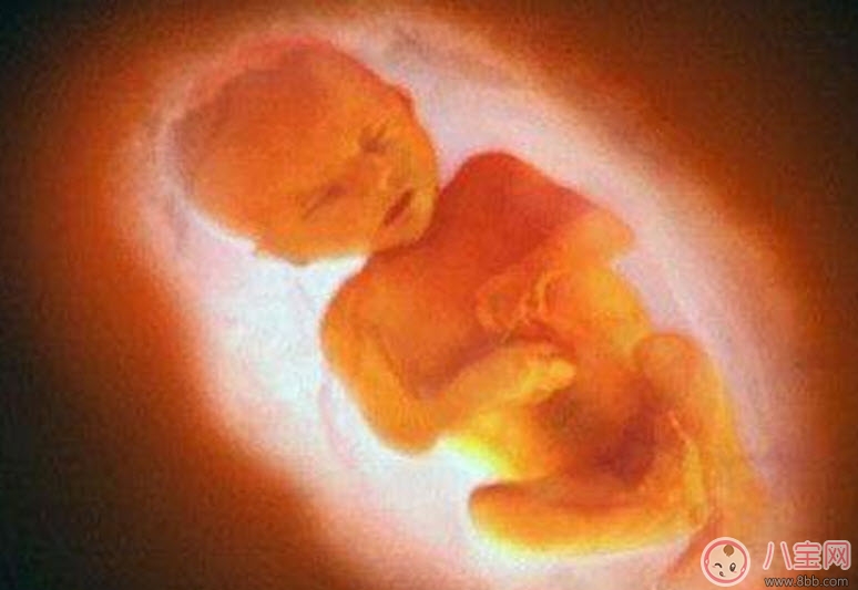 孕婦四維彩超的最佳時(shí)間 孕婦一定要做四維彩超嗎