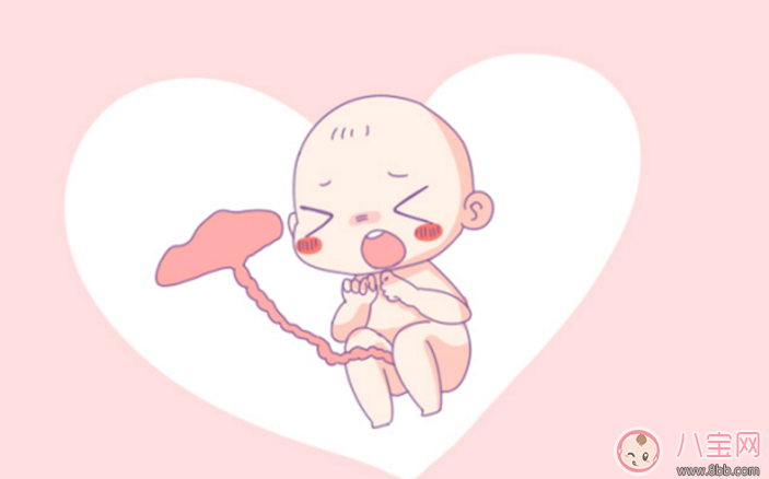 扎心了老鐵沒(méi)鐵了 準(zhǔn)媽媽補(bǔ)鐵這么做效率高