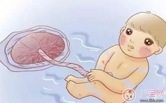 孕婦肚子大小和胎兒大小有關系嗎 孕婦肚子多大胎兒就有多大真的嗎