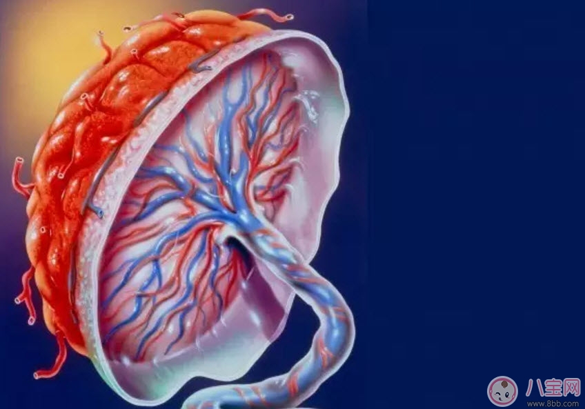 孕晚期胎盤老化的原因是什么 哪些孕媽媽要提防胎盤老化