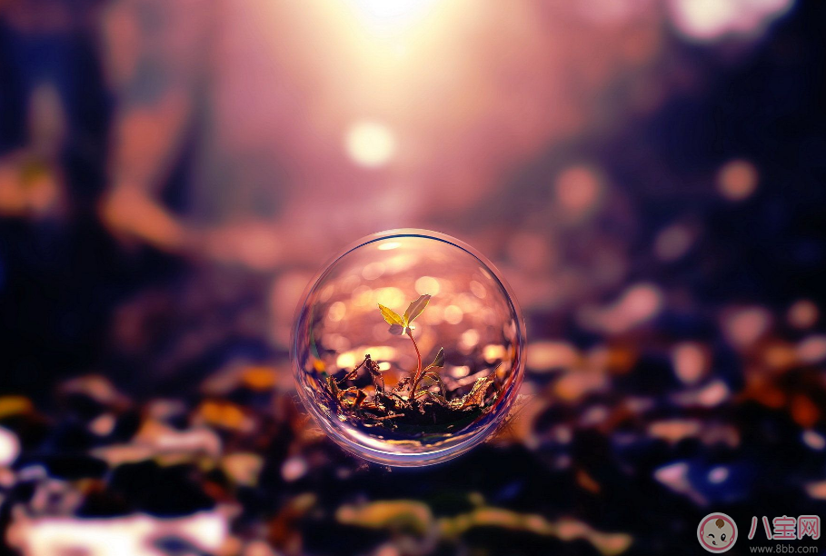 懷孕時有哪些事情做了才不會覺得遺憾 不知道就等著后悔吧 懷孕時有哪些事情做了才不會覺得遺憾 不知道就等著后悔吧