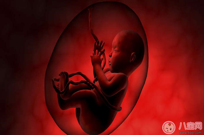 寶寶智商和什么相關(guān) 寶寶智商發(fā)育三大注意事項(xiàng)