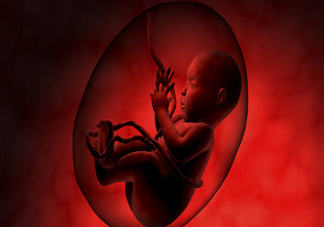 寶寶智商和什么相關(guān) 寶寶智商發(fā)育三大注意事項(xiàng)