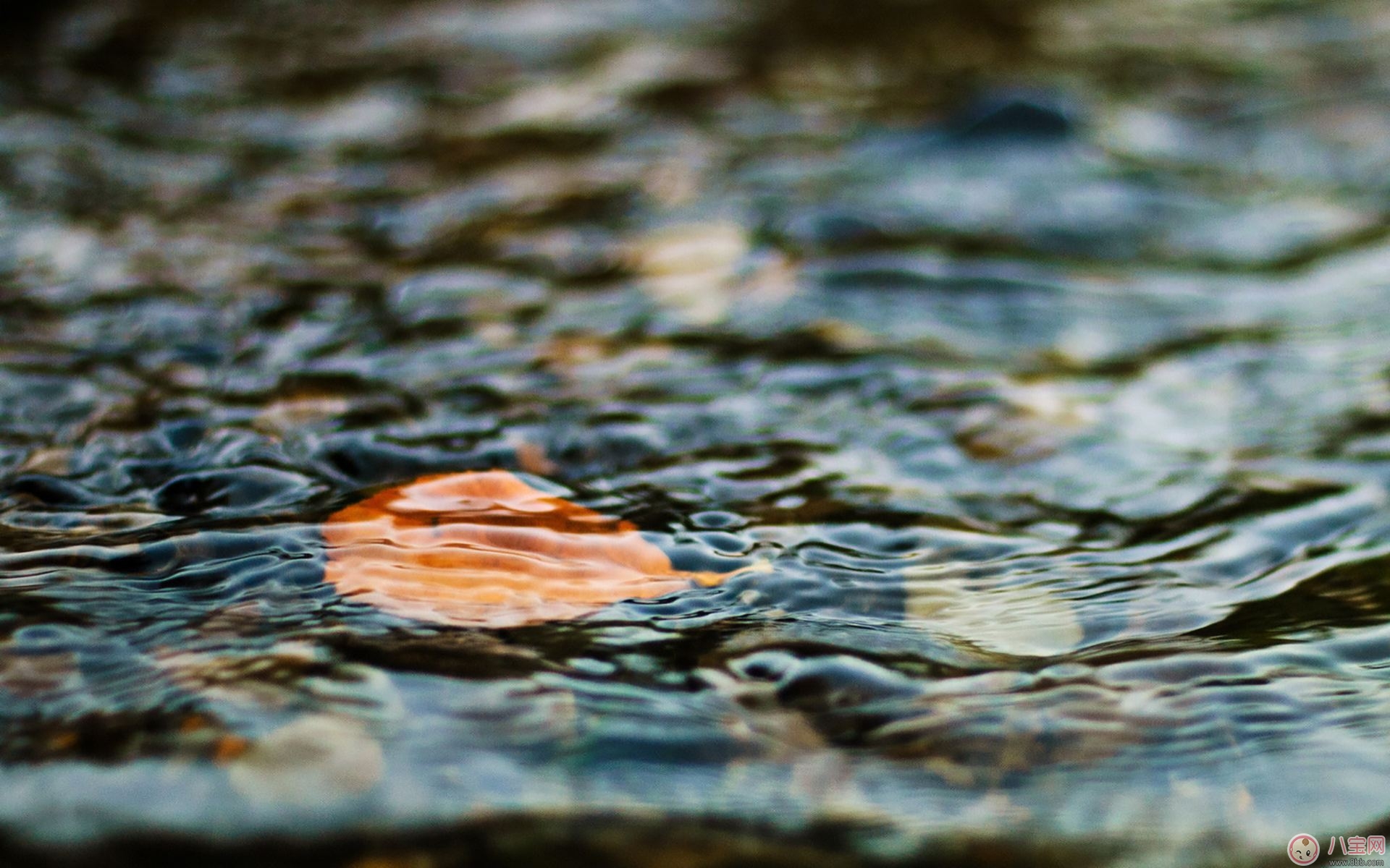 秋季孕期身體乏力的原因及應(yīng)對方法 秋季孕期身體乏力的原因及應(yīng)對方法
