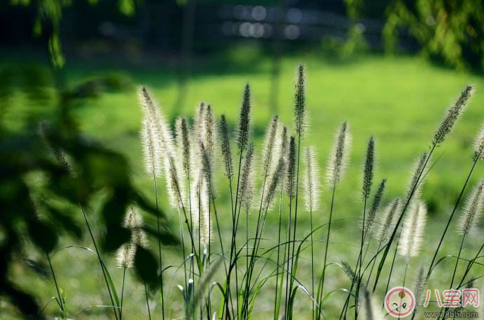 秋天懷孕好不好 最適合懷孕的季節(jié)推薦 秋天懷孕好不好 最適合懷孕的季節(jié)推薦
