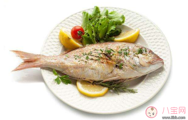 懷孕怎么吃魚(yú)好 懷孕吃魚(yú)推薦