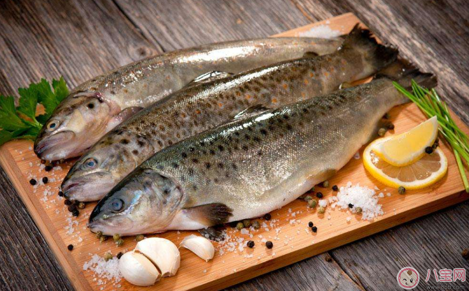 懷孕怎么吃魚(yú)好 懷孕吃魚(yú)推薦