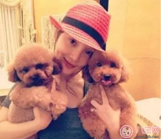 養(yǎng)寵物的孕婦應該做哪些檢查 為什么明星懷孕了能養(yǎng)寵物 養(yǎng)寵物的孕婦應該做哪些檢查 為什么明星懷孕了能養(yǎng)寵物