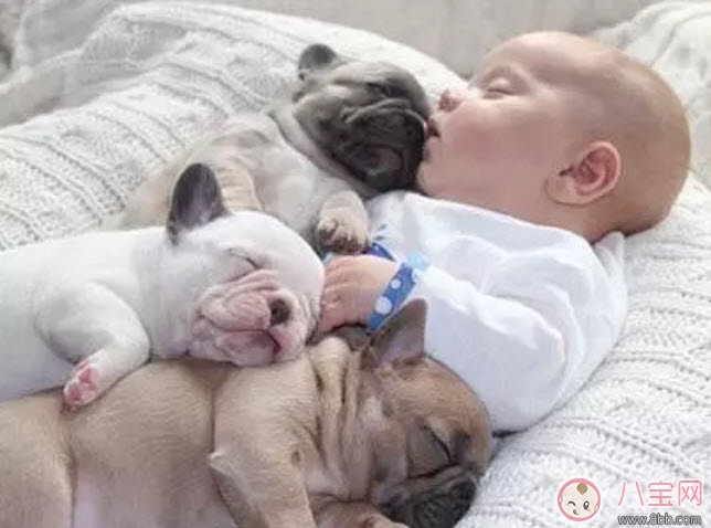 養(yǎng)寵物的孕婦應該做哪些檢查 為什么明星懷孕了能養(yǎng)寵物 養(yǎng)寵物的孕婦應該做哪些檢查 為什么明星懷孕了能養(yǎng)寵物