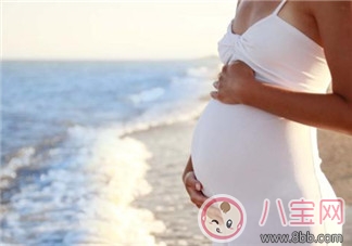 夏季孕婦容易招惹蚊蟲的原因 如何預防蚊蟲叮咬 夏季孕婦容易招惹蚊蟲的原因 如何預防蚊蟲叮咬