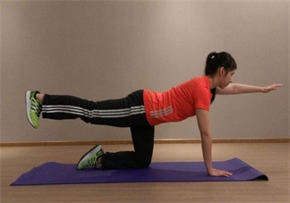 懷孕不提重物好不好 懷孕的時(shí)候什么運(yùn)動(dòng)都不能做嗎