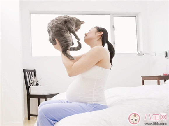 孕期家里有寵物怎么辦 孕期養(yǎng)寵物注意事項 孕期家里有寵物怎么辦 孕期養(yǎng)寵物注意事項
