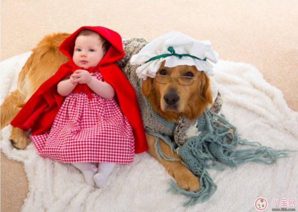 孕期家里有寵物怎么辦 孕期養(yǎng)寵物注意事項 孕期家里有寵物怎么辦 孕期養(yǎng)寵物注意事項