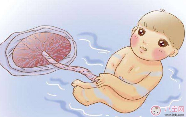 孕晚期羊水過多怎么辦 羊水過多的原因