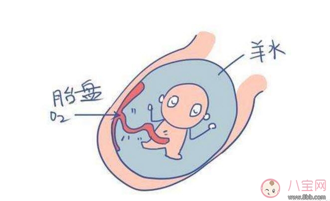 孕晚期羊水過多怎么辦 羊水過多的原因
