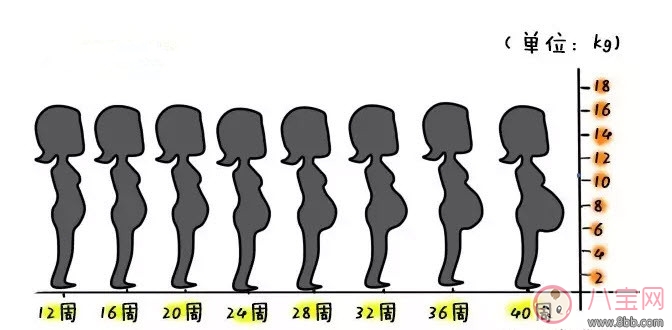 為什么有的孕婦不顯懷 懷孕不顯懷是怎么回事