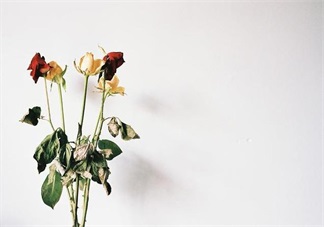 懷孕孕酮低 莫方,看看這些來調(diào)整