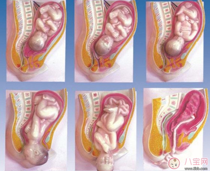 快生的前幾天有什么癥狀 懷胎十月怎么算足月是多少周(37周到42周)