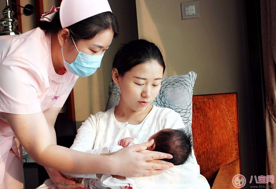 豐富營養(yǎng)月子餐 大補月子餐食譜推薦