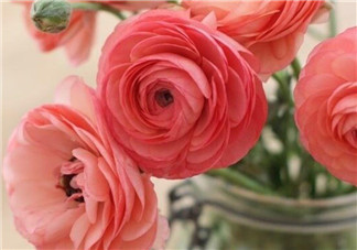 產(chǎn)后排尿難的原因  如何促進排尿