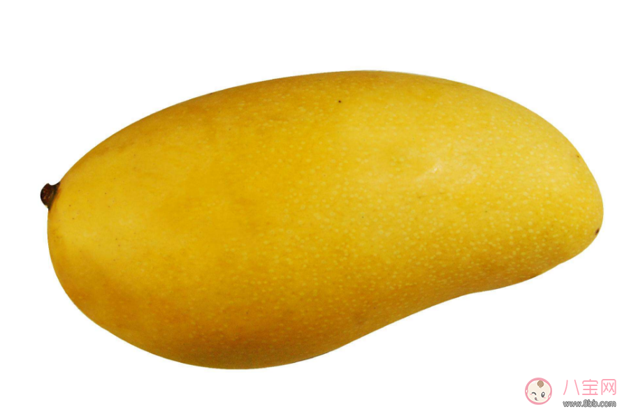 懷孕想吃芒果可以吃多少 懷孕芒果怎么吃 懷孕想吃芒果可以吃多少 懷孕芒果怎么吃