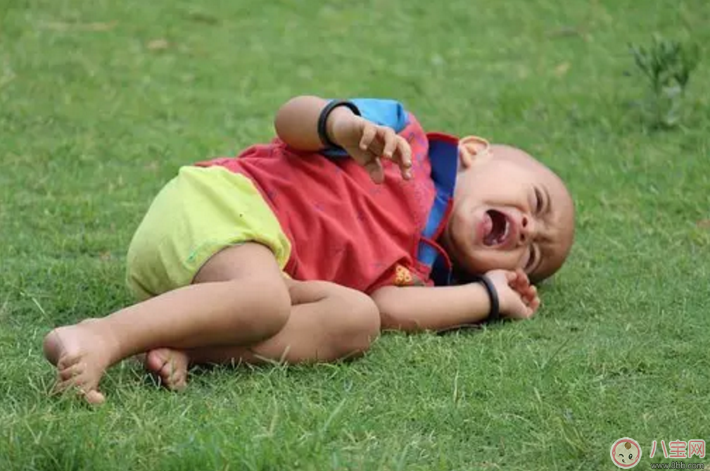 哺乳期奶水少 適量食用茴香可提高母乳量 哺乳期奶水少 適量食用茴香可提高母乳量