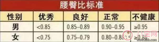 柯基臀是什么 李菲兒柯基臀怎么練出來(lái)的 柯基臀是什么 李菲兒柯基臀怎么練出來(lái)的