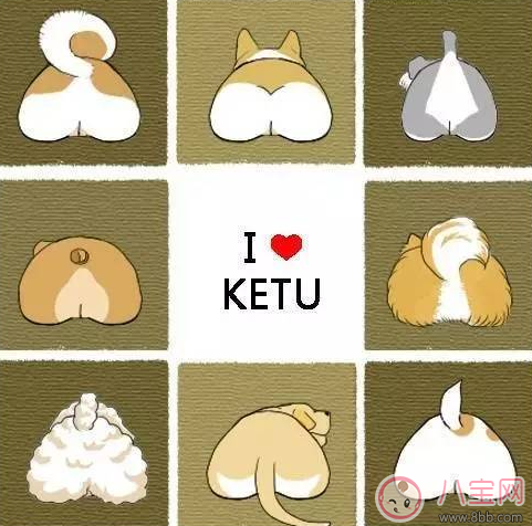 柯基臀是什么 李菲兒柯基臀怎么練出來(lái)的 柯基臀是什么 李菲兒柯基臀怎么練出來(lái)的