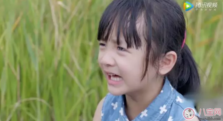 《美味奇緣》看了想睡覺！《美味奇緣》故事主線是什么？