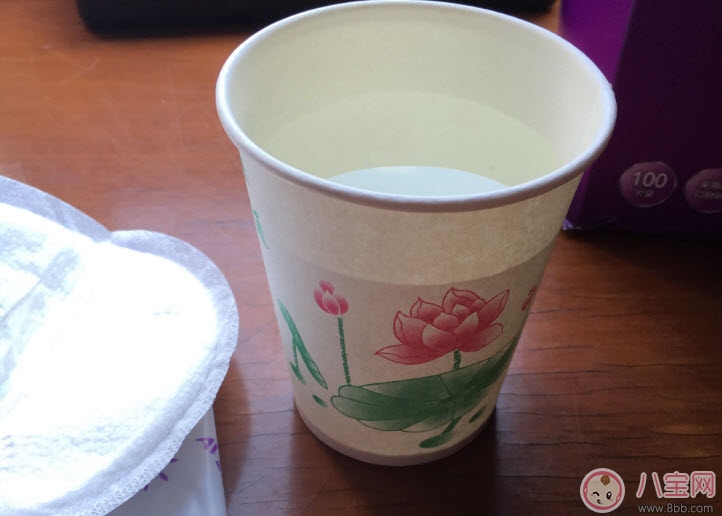 新安怡防溢乳墊怎么樣好用嗎 新安怡防溢乳墊吸水性測評使用 新安怡防溢乳墊怎么樣好用嗎 新安怡防溢乳墊吸水性測評使用