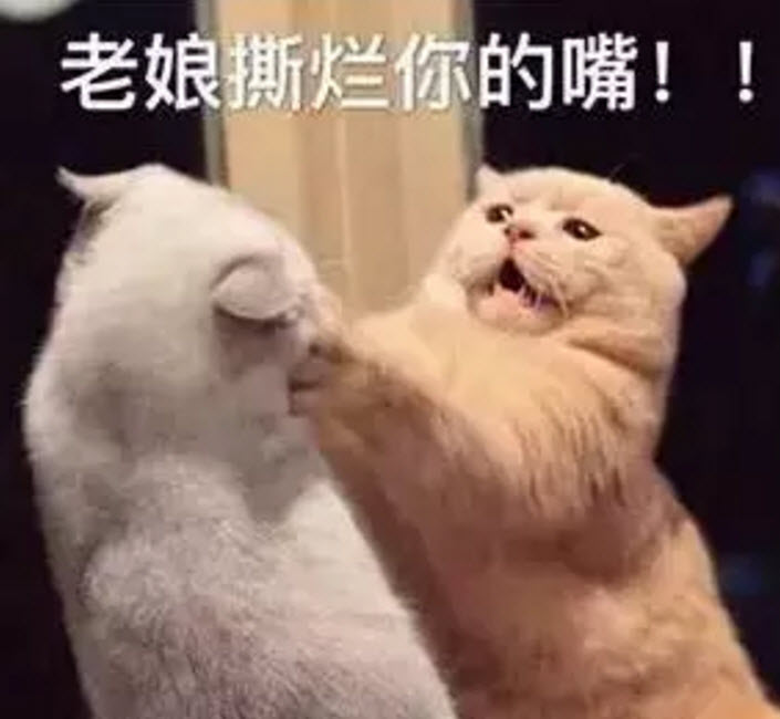 虛假的姐妹情誼表情包 友誼姐妹感情就像塑料花表情包無水印