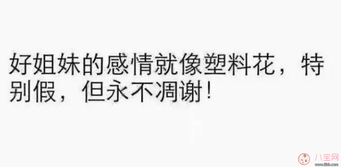 塑料姐妹花永遠(yuǎn)不分家?塑料花友誼什么意思 娛樂(lè)圈那些塑料花姐妹友誼