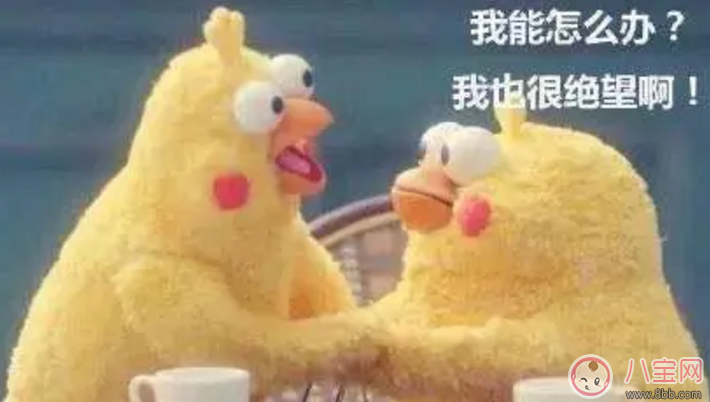 PG One能秒殺Gai爺?shù)脑?PG One如何成為新的人氣王的