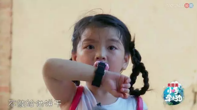 《小手牽小狗》羅志祥帶了幾位萌娃？阿拉蕾的表現(xiàn)怎么樣