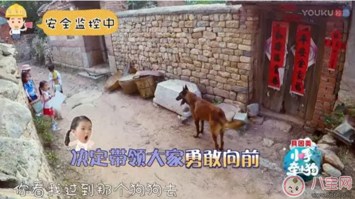 《小手牽小狗》羅志祥帶了幾位萌娃？阿拉蕾的表現(xiàn)怎么樣