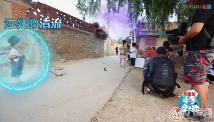 《小手牽小狗》羅志祥帶了幾位萌娃？阿拉蕾的表現(xiàn)怎么樣