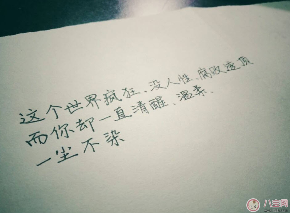 貓的情書溫清歡txt下載書包網(wǎng)全文閱讀 貓的情書在線閱讀完結(jié)版