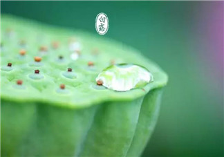 白露節(jié)氣怎么養(yǎng)生 白露時節(jié)有哪些飲食的禁忌