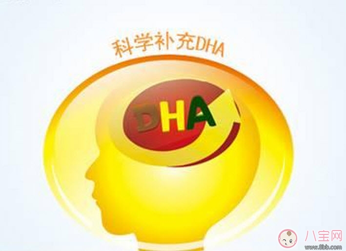 孕婦有必要補(bǔ)充dha嗎 孕婦怎么補(bǔ)充dha