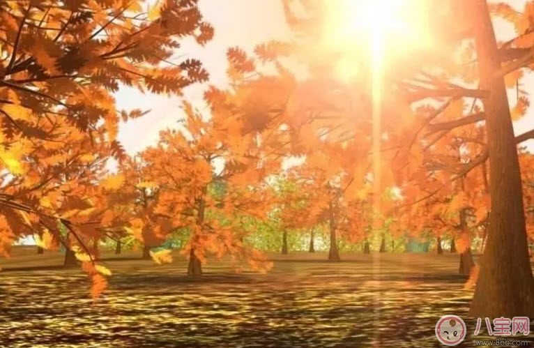 為什么秋季養(yǎng)生要吃鴨 秋天養(yǎng)生吃鴨有什么好處