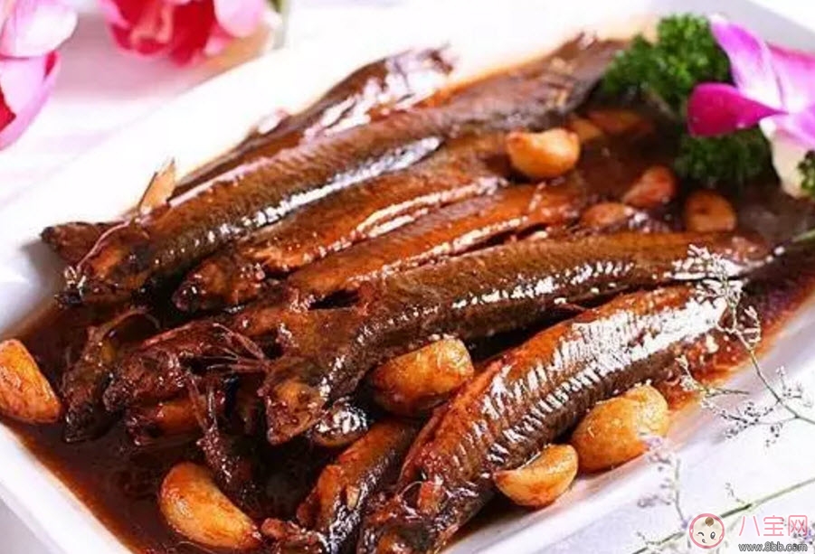 孕婦泥鰍能吃嗎 孕婦吃泥鰍搭配禁忌有哪些