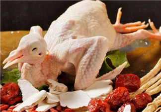 孕婦可以吃鴿子肉嗎 孕婦喝鴿子湯的營養(yǎng)好處