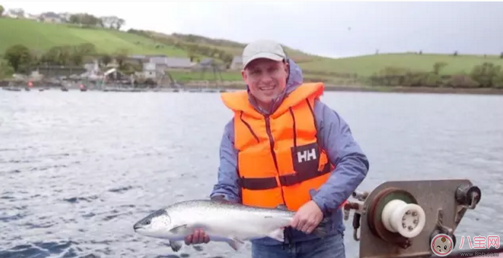 范瑋琪的寶寶也在吃 福連學(xué)堂輔食寶寶口糧必囤