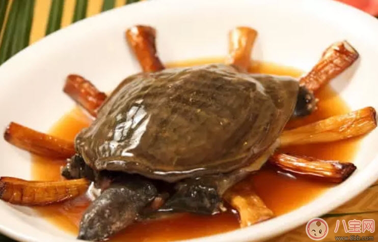 孕婦能喝清燉甲魚(yú)湯嗎 孕婦喝了甲魚(yú)湯怎么辦