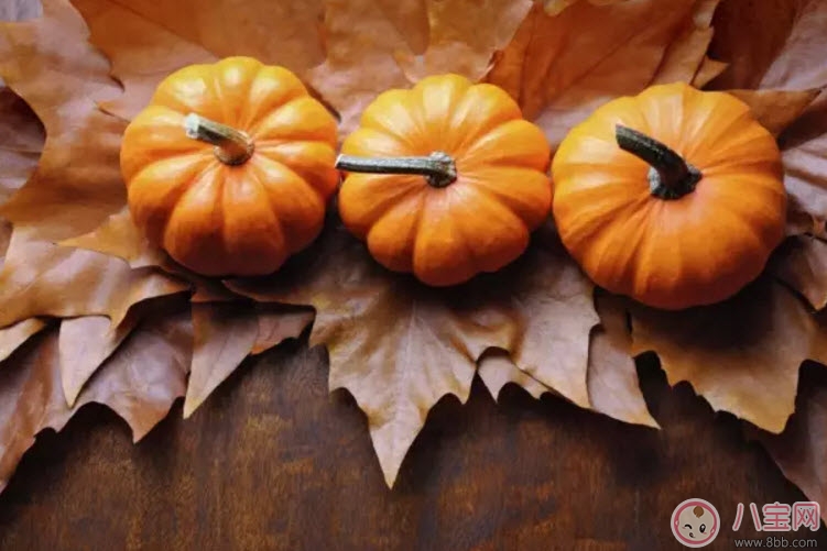 孕婦吃南瓜有什么好處 孕婦吃南瓜對胎兒好嗎 孕婦吃南瓜有什么好處 孕婦吃南瓜對胎兒好嗎