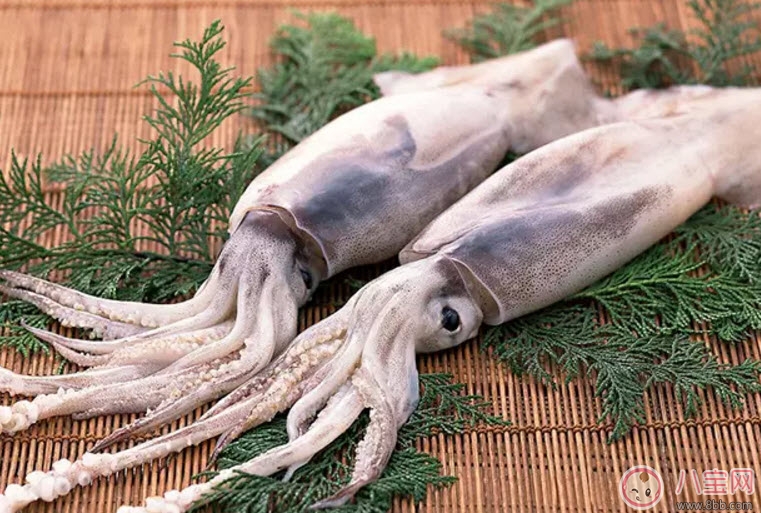 孕婦魷魚(yú)可以吃嗎 孕婦吃魷魚(yú)有哪些好處