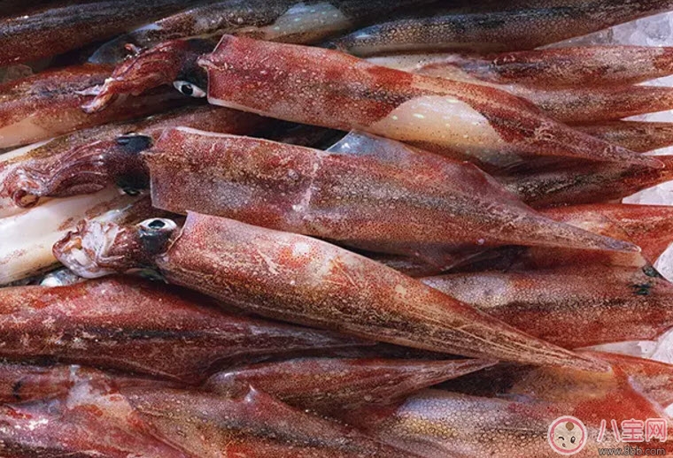 孕婦魷魚(yú)可以吃嗎 孕婦吃魷魚(yú)有哪些好處