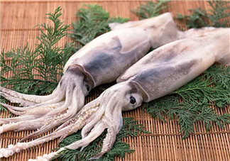 孕婦魷魚(yú)可以吃嗎 孕婦吃魷魚(yú)有哪些好處